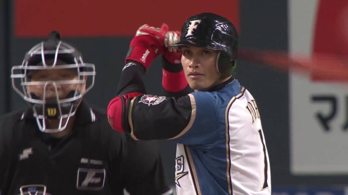 陽岱鋼が先取点！完封リレーで連勝！！ 6/28 vs.ライオンズ