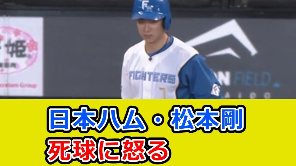 日本ハム・松本剛、死球に怒る