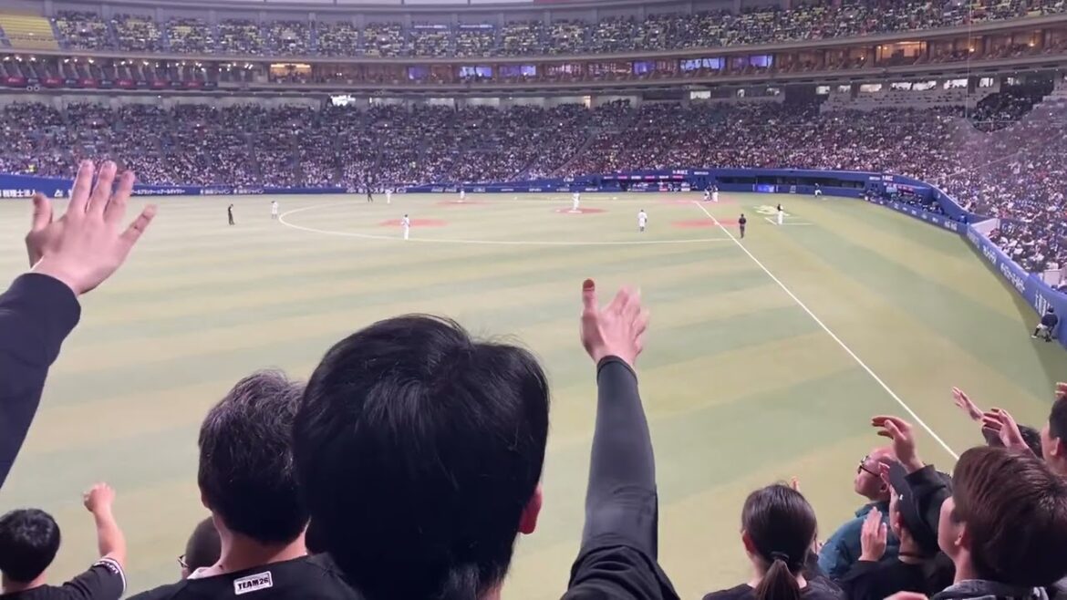 「2024新曲」千葉ロッテマリーンズ 茶谷健太応援歌