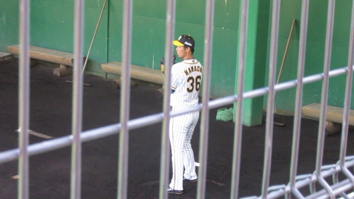 阪神タイガース　秋季安芸キャンプ　ブルペン浜地真澄　20181107