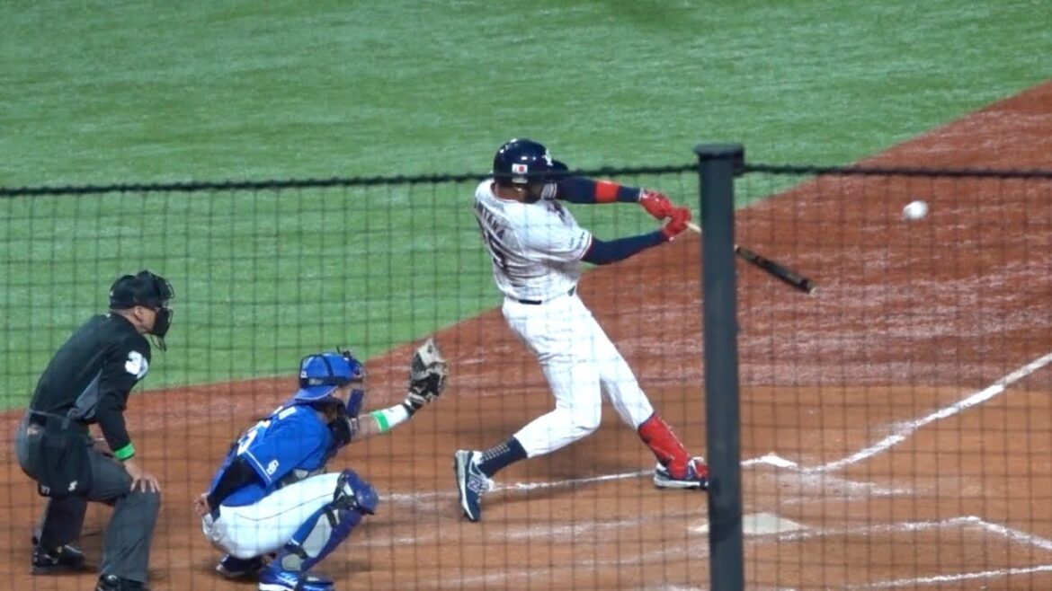 サンタナのタイムリーヒットで同点！東京ヤクルトスワローズvs中日ドラゴンズ 2024/03/29 開幕戦