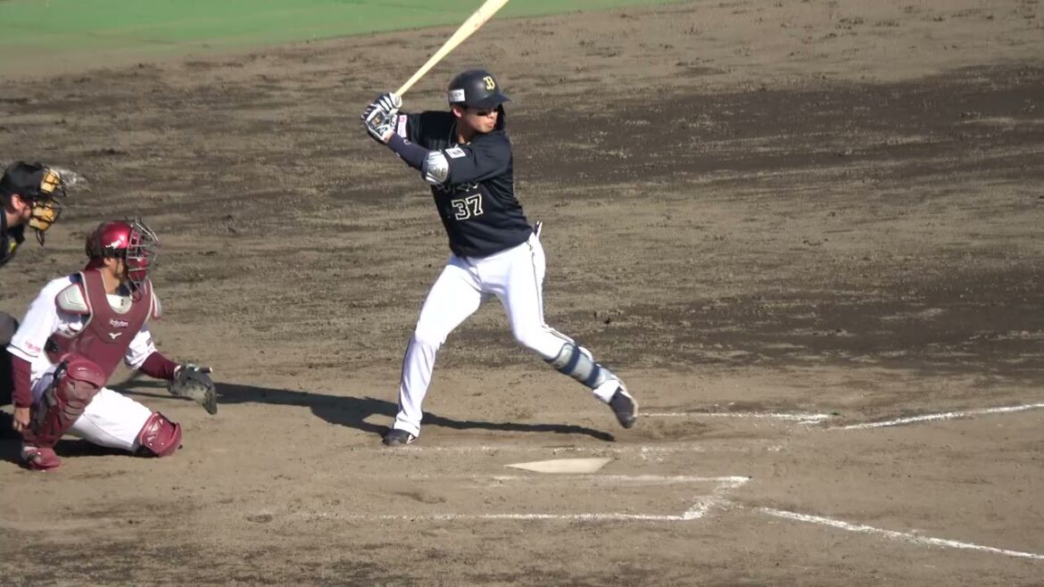 オリックスバファローズ 石川亮選手 代打 第1打席 サードゴロ 2024/3/13 草薙球場 VS 東北楽天ゴールデンイーグルス