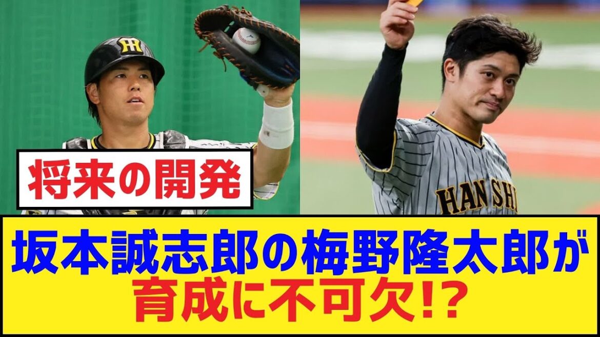 坂本誠志郎の梅野隆太郎が育成に不可欠!?【梅野隆太郎・坂本誠志郎・阪神タイガース】