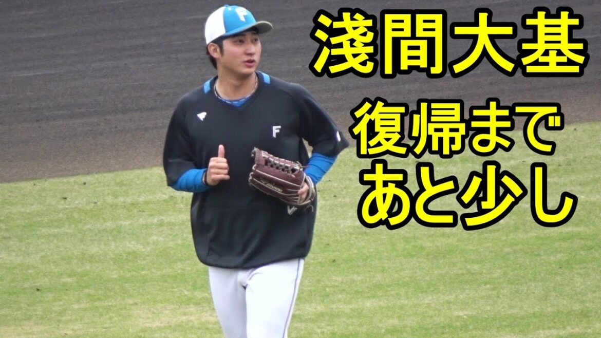 日本ハム淺間大基 復帰まであと少し、元気にノックを受ける2024.4.6