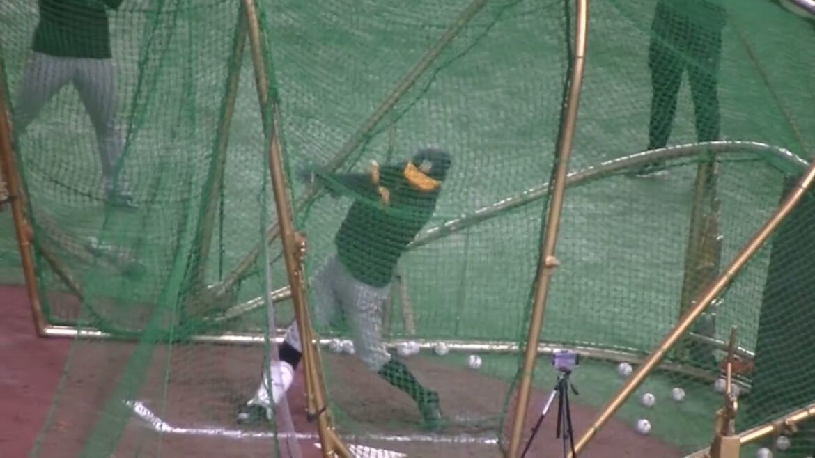 タイガース島田海吏のフリーバッティング【 読売ジャイアンツ対 阪神タイガース2024年3月30日】