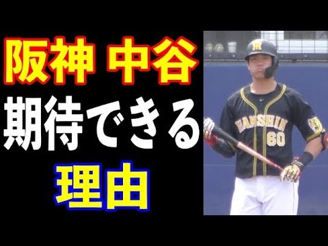 阪神タイガース中谷将大とかいうロマンの塊! 阪神タイガース中谷将大とかいうロマンの塊!