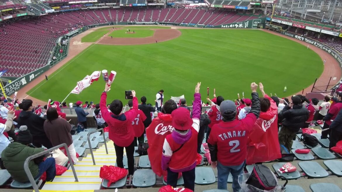 勝鯉の二次会2024/3/24 応援歌練習チャンテ６、６→スーパー、６→飛ばす、羽月選手、矢野選手、末包選手応援歌、ノーカットvsSn