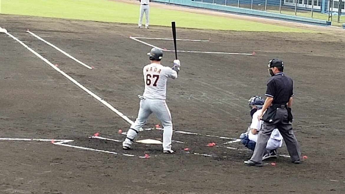 読売ジャイアンツ 和田恋 バッティング