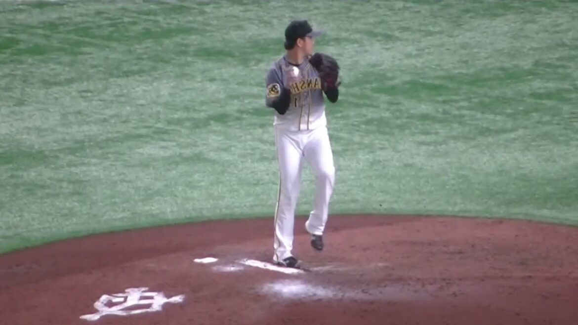 【左右反転】タイガース岩貞 祐太の投球フォーム2020年10月23日