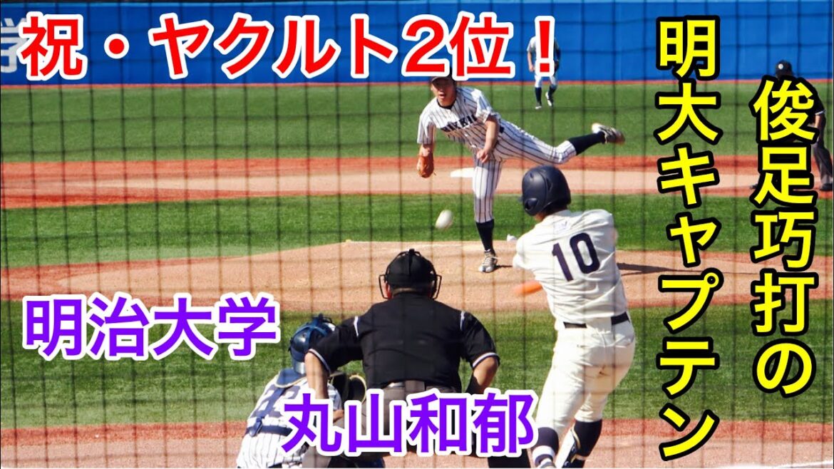 【祝・ヤクルト2位】明治大学・丸山和郁選手