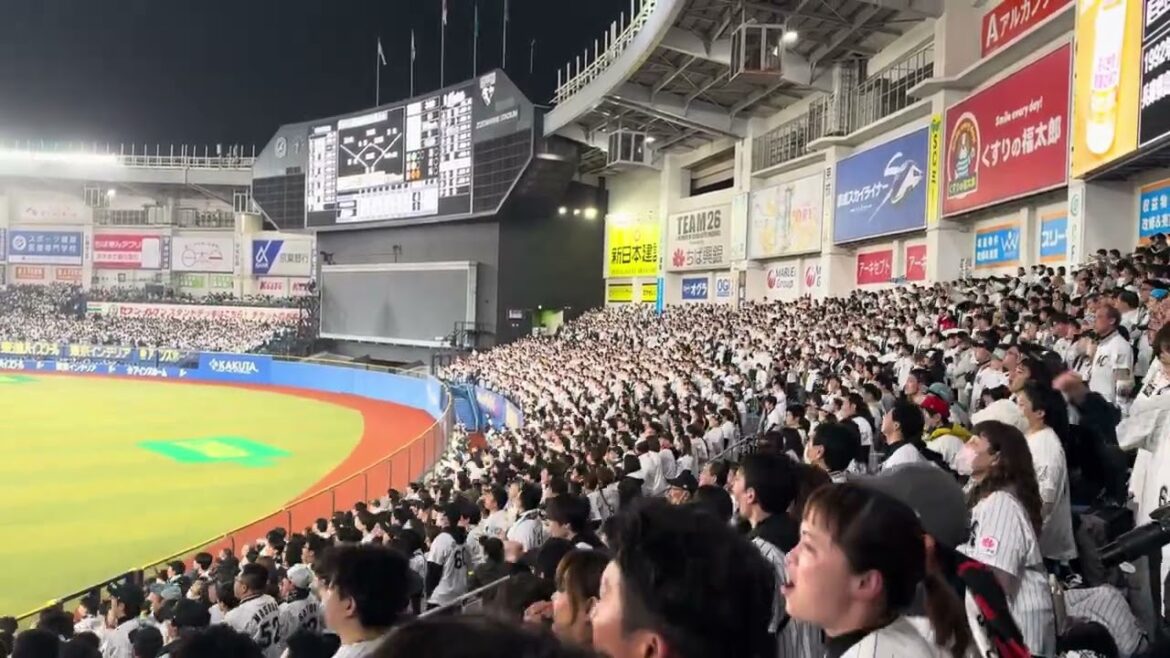 中村奨吾 応援歌 2024/3/29 開幕戦 #chibalotte