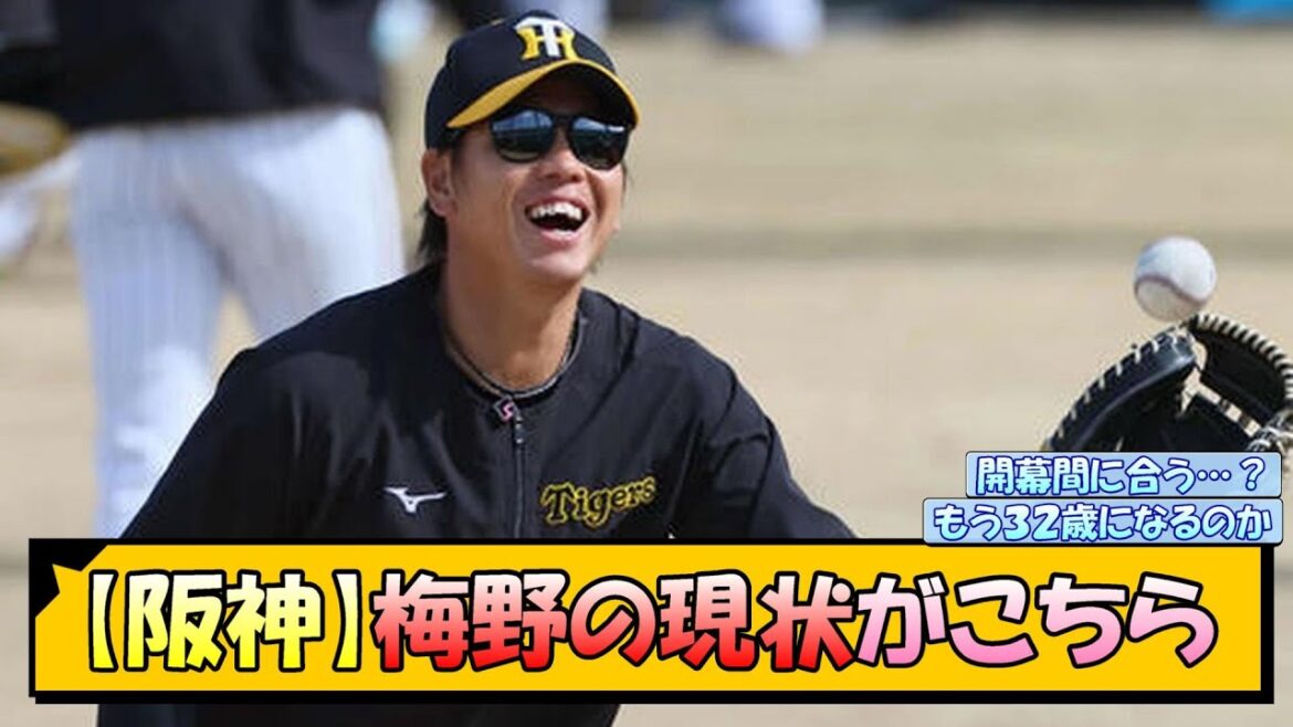 【阪神】右肩肉離れの梅野の現状がこちら【なんJ 反応 まとめ】