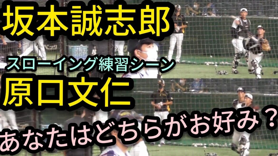 【原口文仁・坂本誠志郎】 あなたはどちらが好み？スローイング練習シーン 2021年8月17日 横浜DeNAベイスターズ対阪神タイガース
