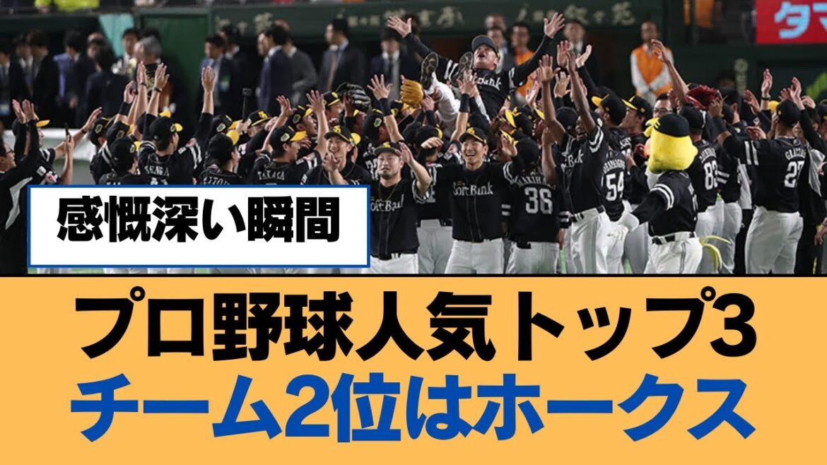 プロ野球人気トップ3チーム2位はホークス【福岡ソフトバンクホークス】