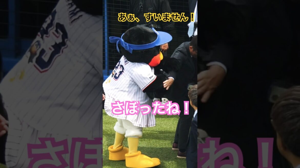 つばみ　コードを巻いてないすたっふ〜にオコ！#つばみ #swallows #つば九郎