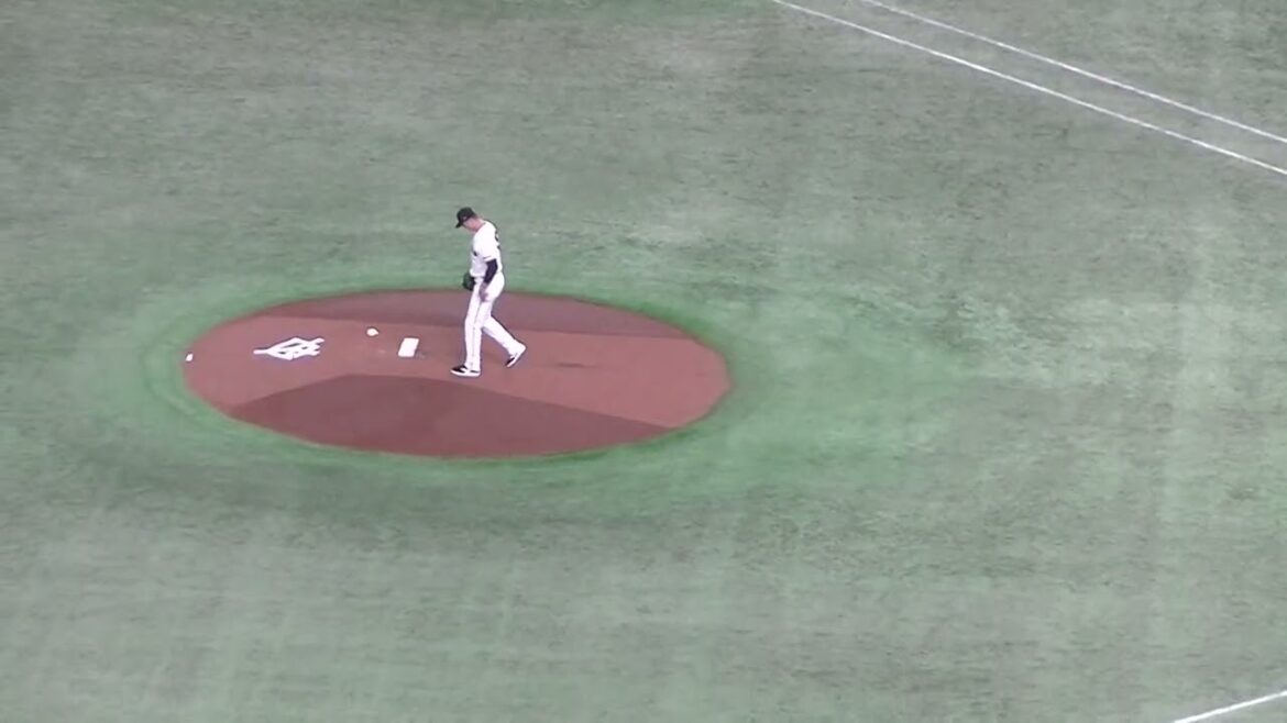 度会隆輝の打球をファインプレーの長野久義（ 読売ジャイアンツ対 横浜DeNAベイスターズ2024年4月6日）