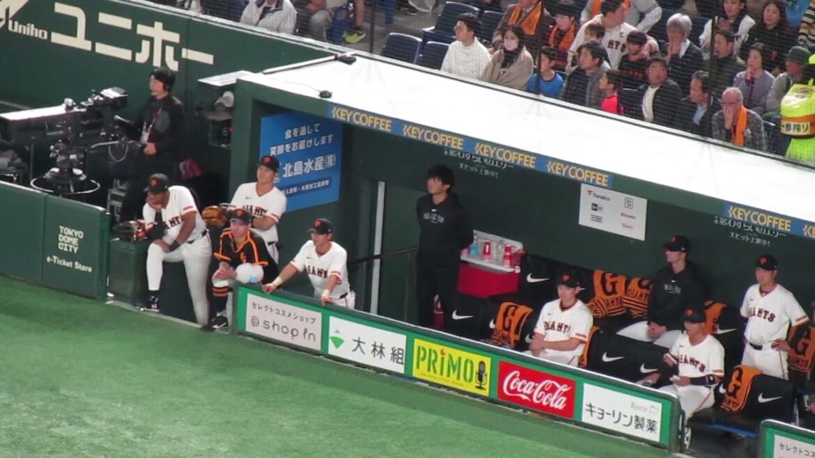 ベンチ隅で応援する井上温大やオコエ瑠偉2024年4月6日 読売ジャイアンツ対 横浜DeNAベイスターズ