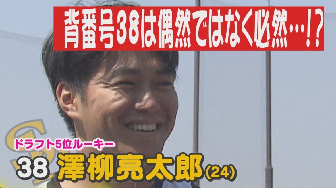 期待の即戦力右腕！澤柳投手の背番号３８にまつわる秘話？ #澤柳亮太郎投手！先日誕生日を仲間と祝ったという澤柳投手！その素顔とは…？#sbhawks #とべとべホークス