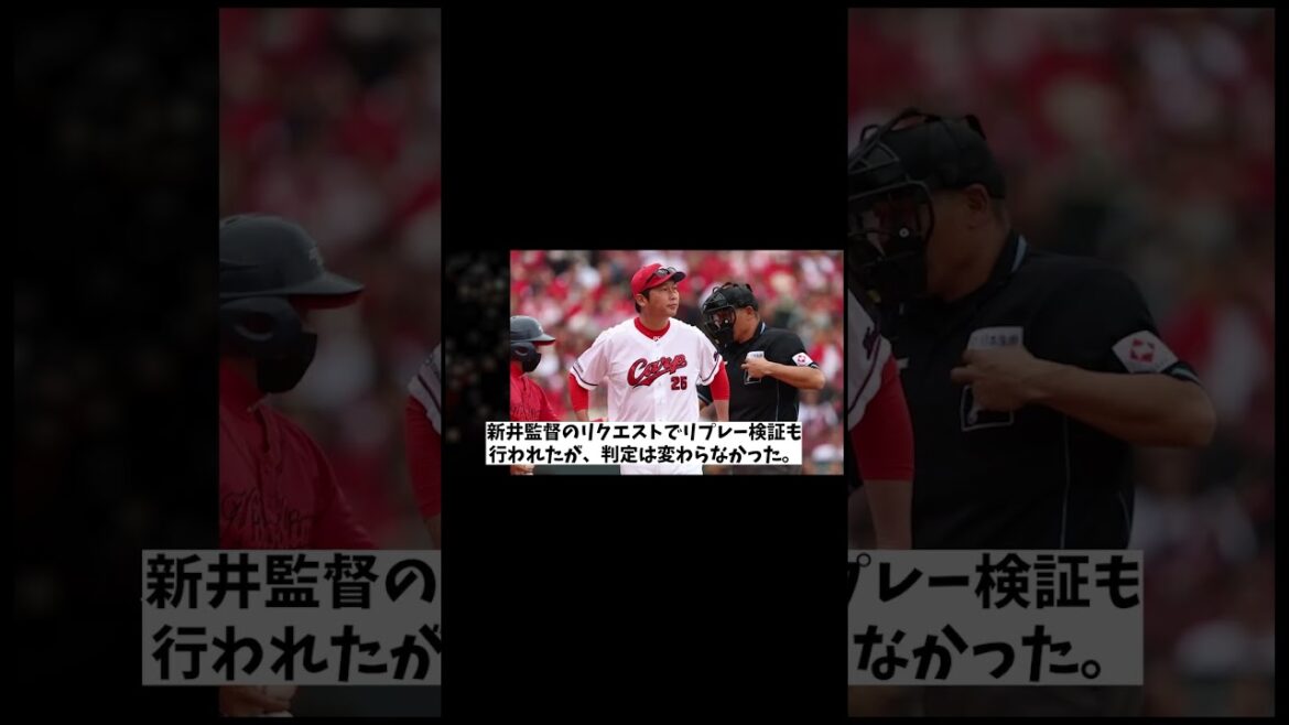 広島カープファン　試合中にやらかしてしまうwwwwww【野球情報】【2ch 5ch】【なんJ なんG反応】