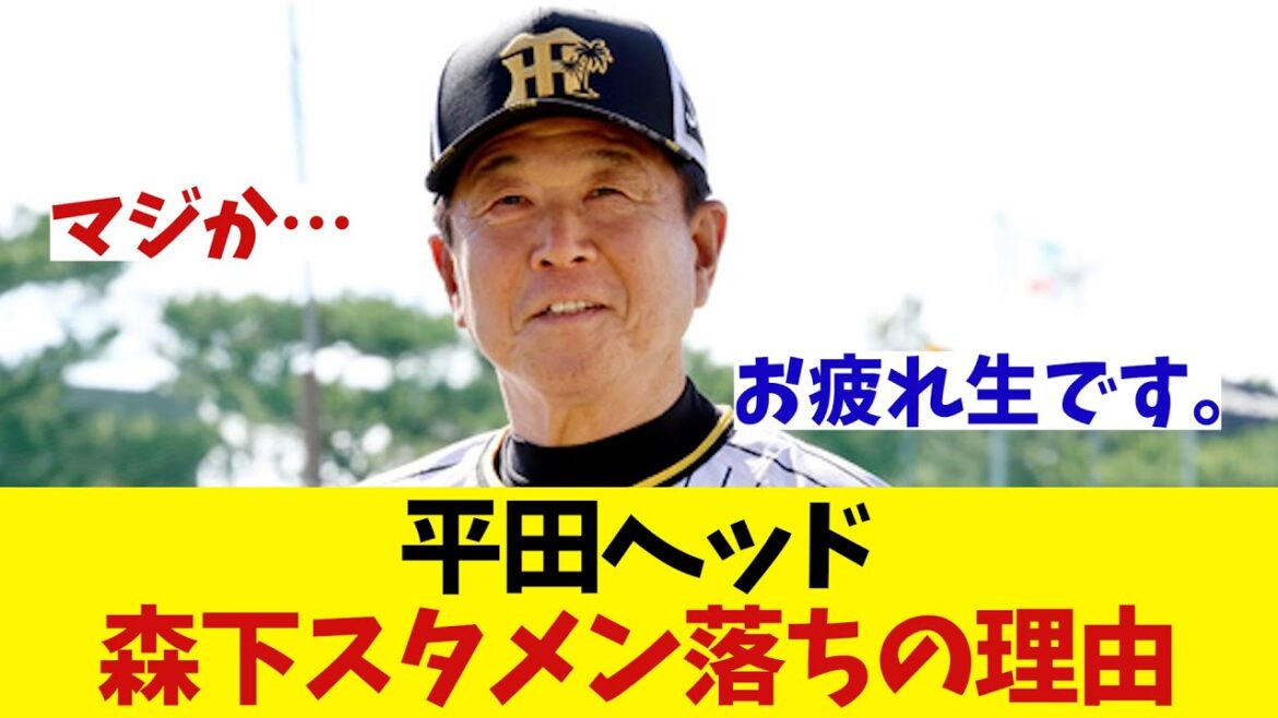 阪神・平田ヘッドコーチが語る　森下スタメン落ちの理由が衝撃すぎる・・・【野球情報】【2ch 5ch】【なんJ なんG反応】
