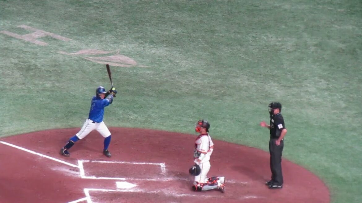 関根大気を打ち取った時の大城卓三の動き2024年4月6日 読売ジャイアンツ対 横浜DeNAベイスターズ