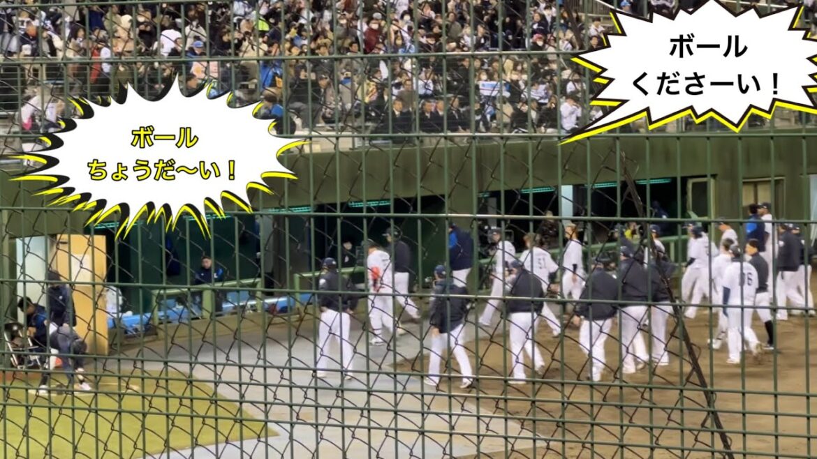 ライオンズ 完封負けの瞬間と、結果そっちのけで「ボールちょうだーい！」と叫びまくる三塁側の子供たち 笑【西武0-5ロッテ】2024/4/9