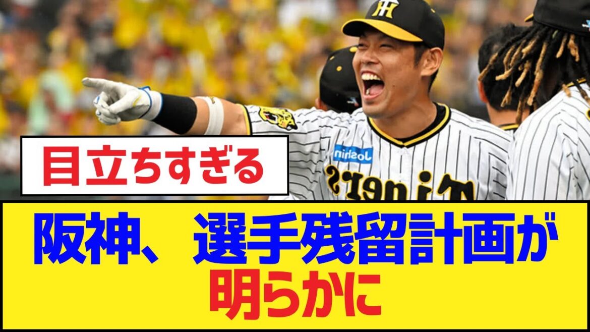 阪神、選手残留計画が明らかに【坂本誠志郎・阪神タイガース】