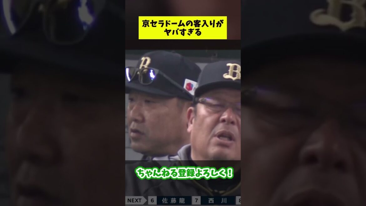 京セラドームの客入りがガチのマジでヤバすぎる【なんJ反応集】#shorts #プロ野球