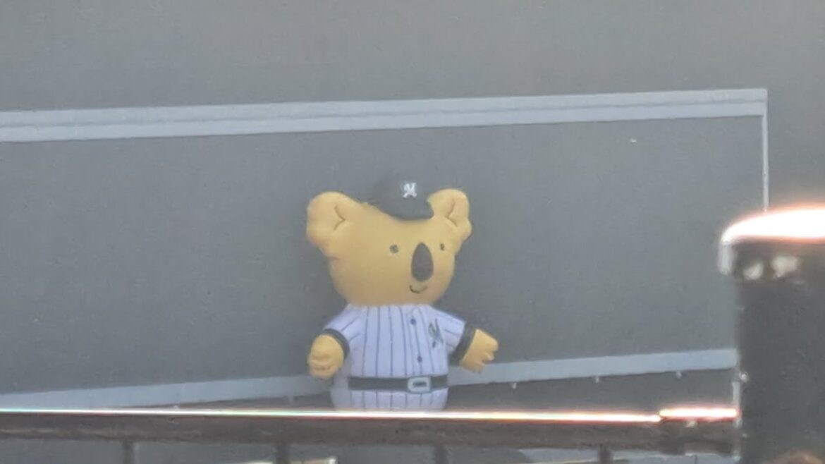 みんなは野球場行く時、何を持っていく？　中野が持って行ったものを公開するね！