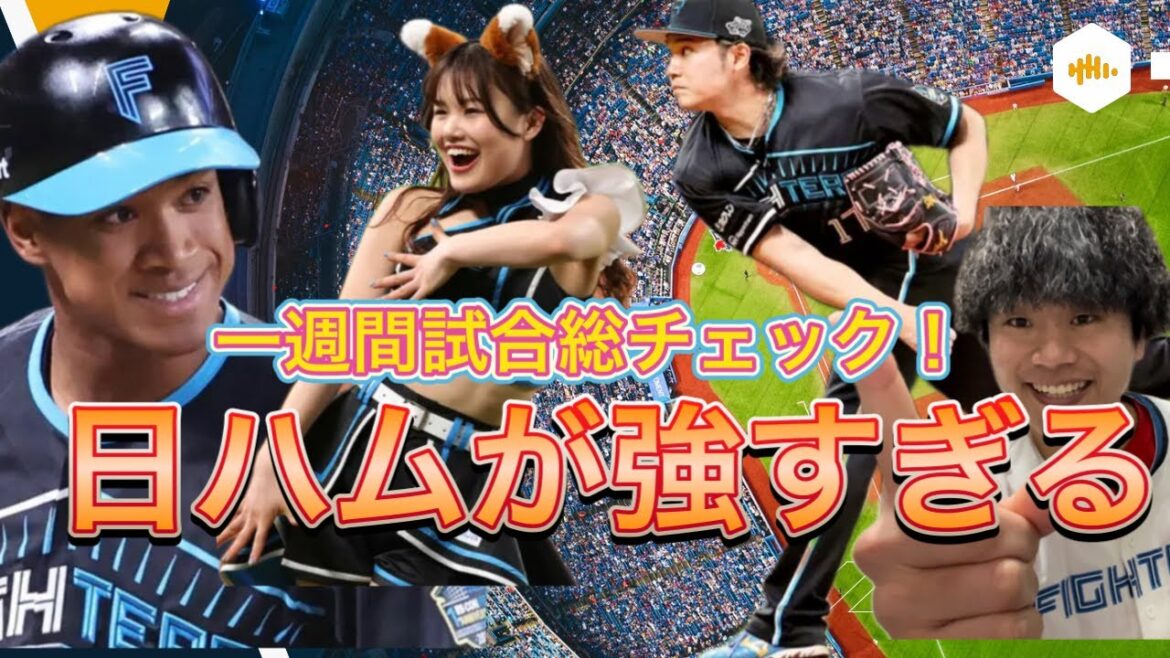 【生き残れ】日ハムが強すぎる！優勝・レギュラー・1軍の生き残り全て実力主義！どの試合も見逃せない！1週間の試合結果まとめ！