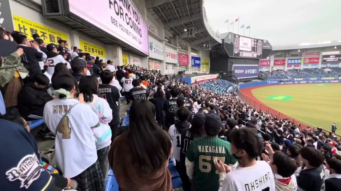 オリックス 二次会 1-9 応援歌 @ZOZOマリン 2024.4.6