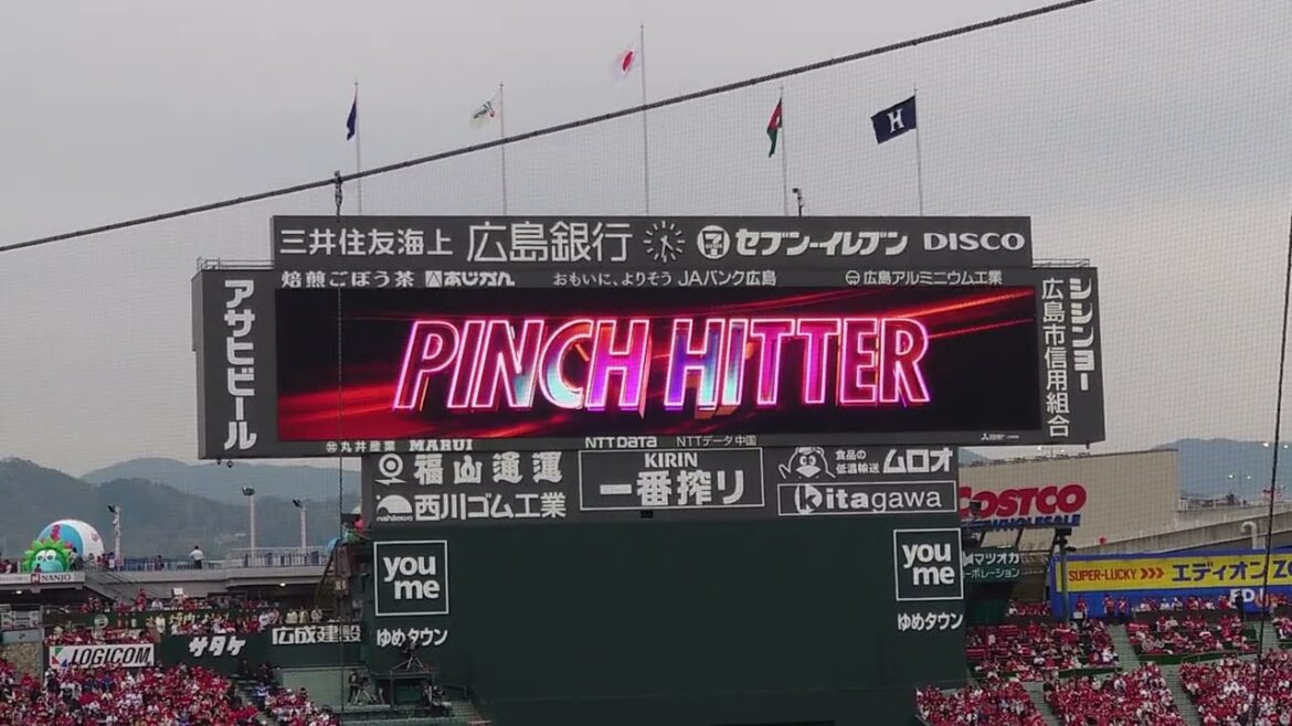 【2024】松山竜平　#55（ピンチヒッター）【選手紹介】