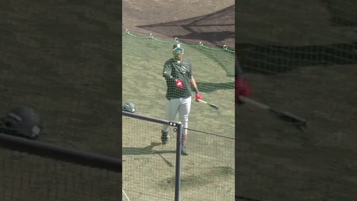 巨人オコエ瑠偉 観客席に打球打ち込んで謝る〜読売ジャイアンツ春季キャンプ2024年2月22日