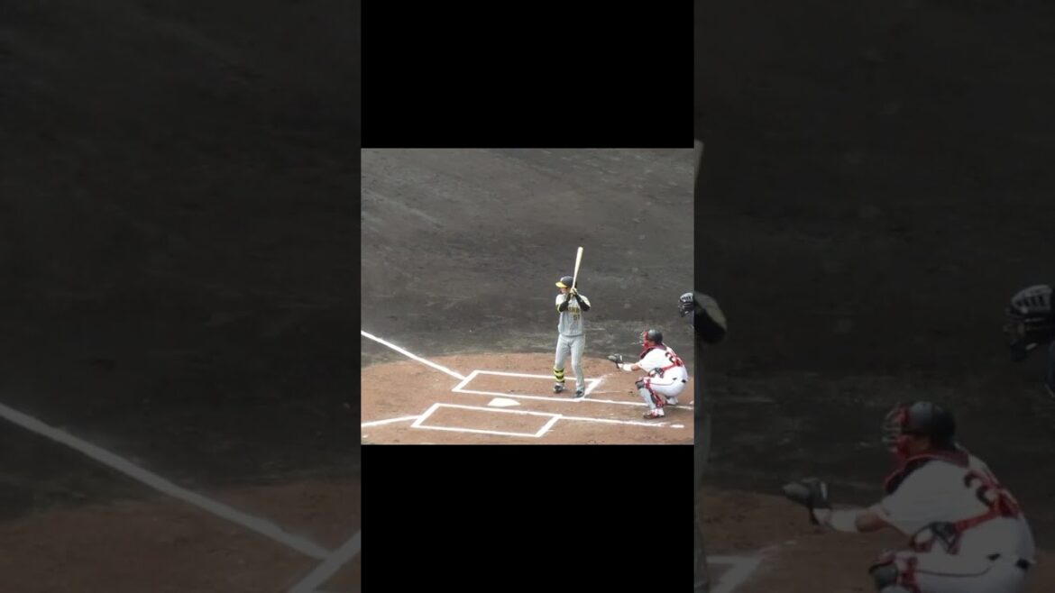 【タイガース】中野拓夢2024年 打撃フォーム（巨人阪神オープン戦2024年2月23日）