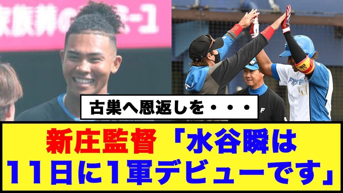 【日本ハム】新庄監督「水谷瞬は11日に1軍デビューです」【日本ハム反応集】【ネットの反応】#日本ハムファイターズ #新庄監督 #水谷瞬