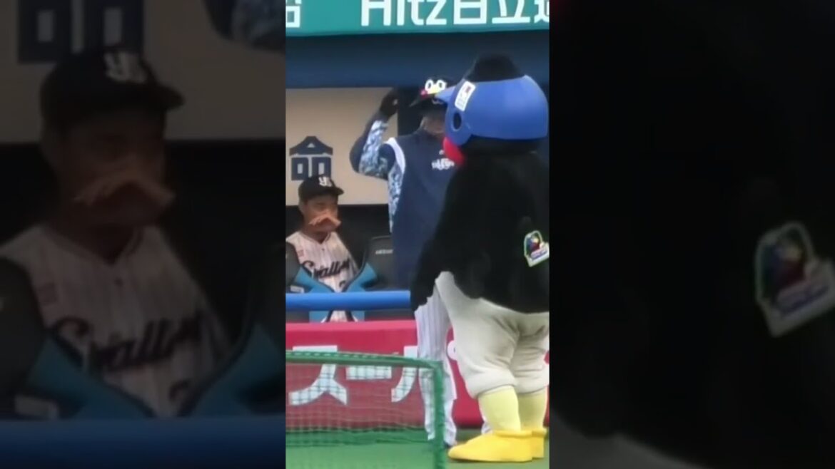 つば九郎、西川遥輝さんと記念パチリ #東京ヤクルトスワローズ #プロ野球 #つば九郎 #shorts