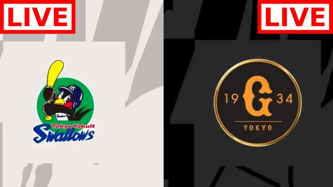 [LIVE] 4月11日 読売ジャイアンツ vs ヤクルトスワローズ ~ 横浜プロ野球2024