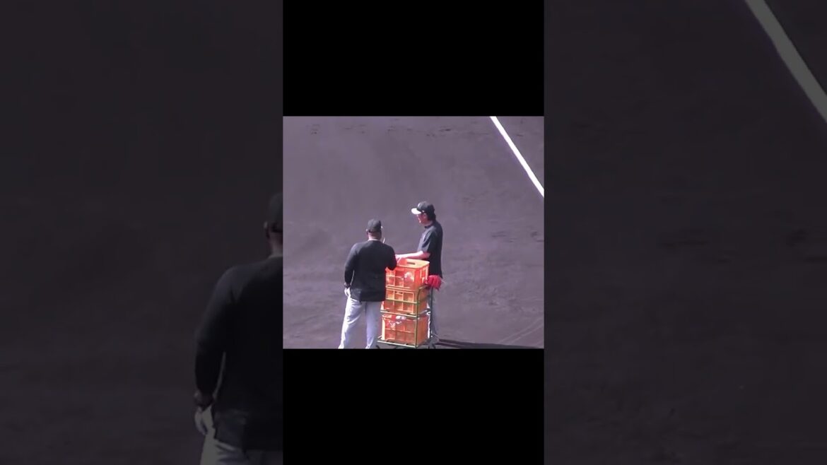 【巨人キャンプ】ノック中ウィーラーのバットが折れみんな大笑い【春季沖縄キャンプ 読売ジャイアンツ2024年2月22日】 #プロ野球