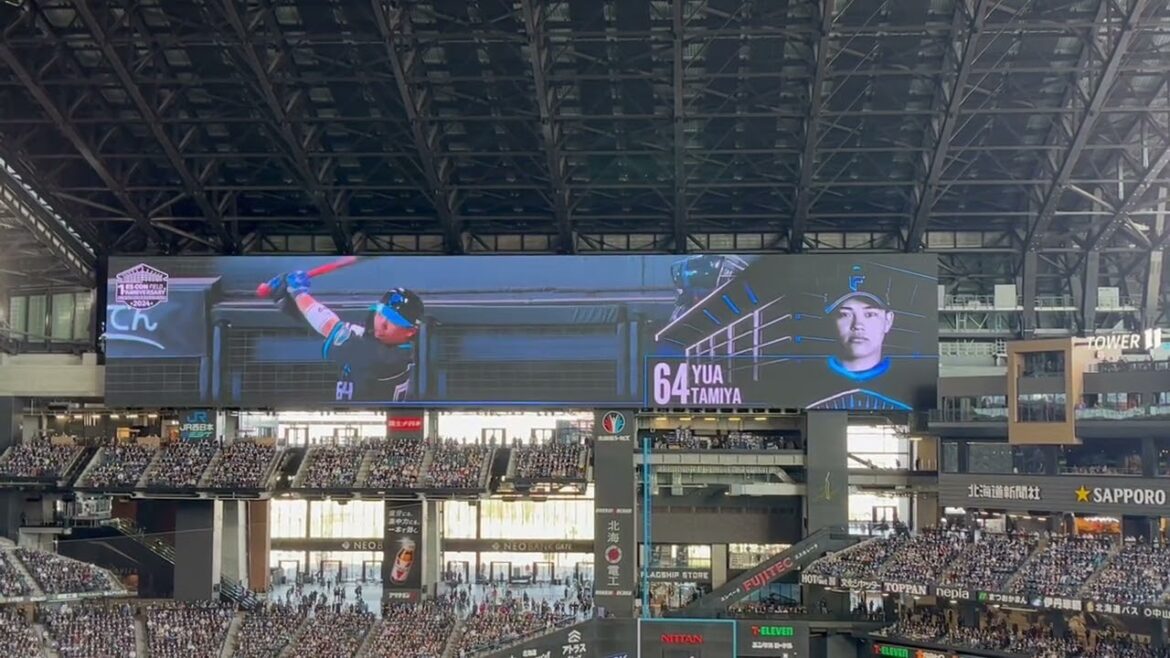 2024 ファイターズ 田宮裕涼 登場曲 RUN/SexyZone