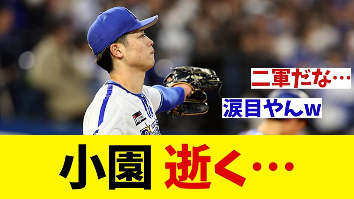 DeNA・小園健太　逝く…【野球情報】【2ch 5ch】【なんJ なんG反応】