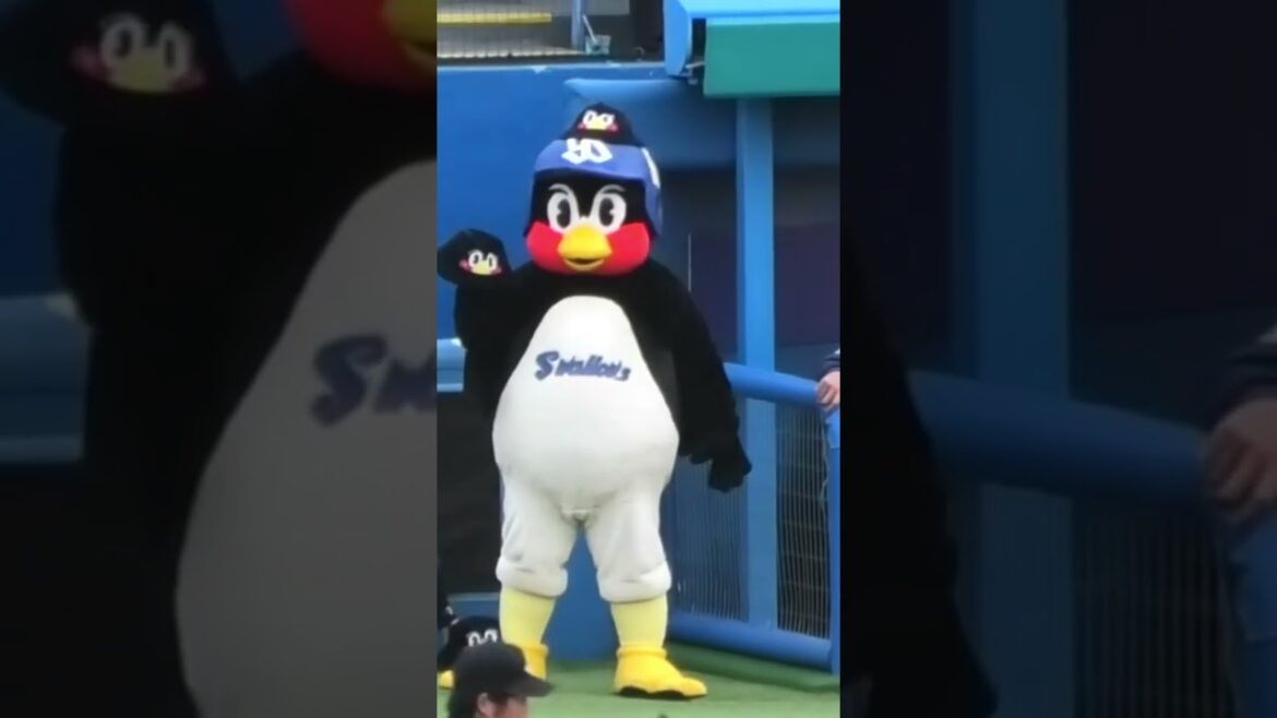 つば九郎ハット片手にキョロキョロ #つば九郎 #東京ヤクルトスワローズ #shorts