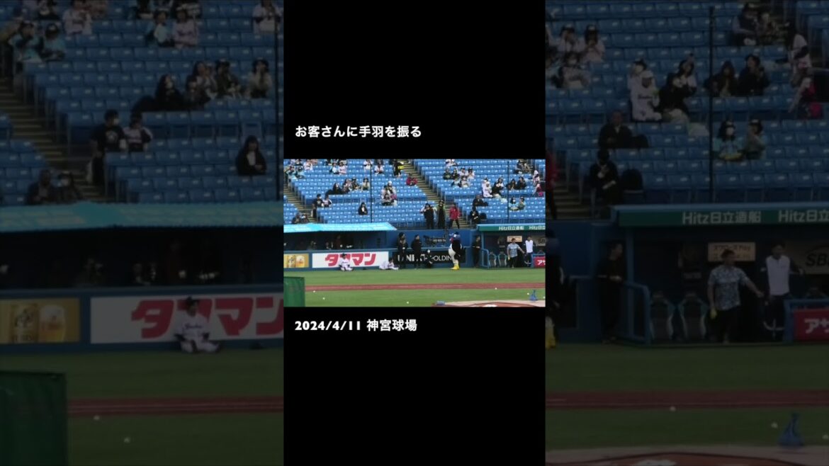 つば九郎、お客さんに手羽を振る  #東京ヤクルトスワローズ #つば九郎 #shorts