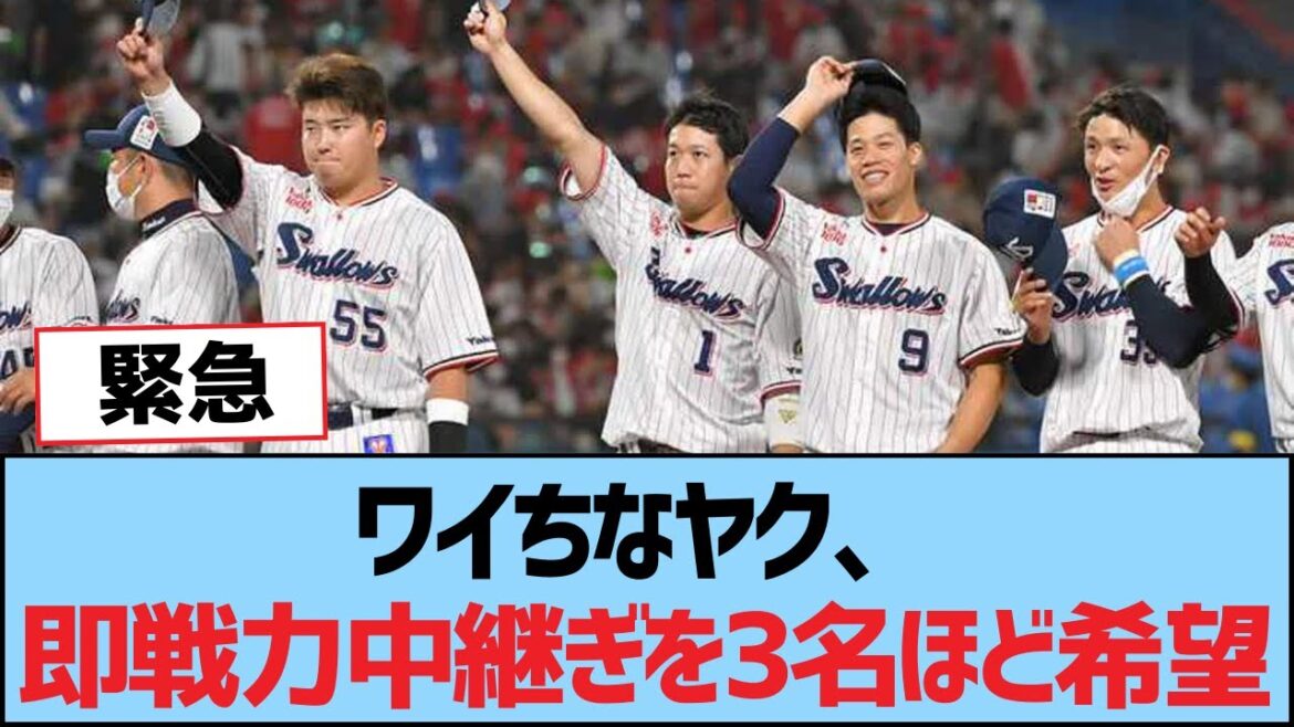ワイちなヤク、即戦力中継ぎを3名ほど希望【つば九郎・東京ヤクルトスワローズ】