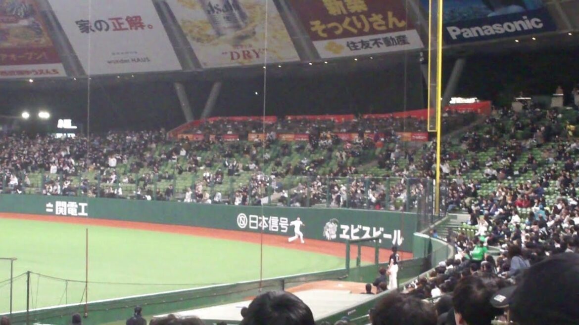 西武 金子侑司 ファインプレー　西武 vs ロッテ　2024年4月10日(水)