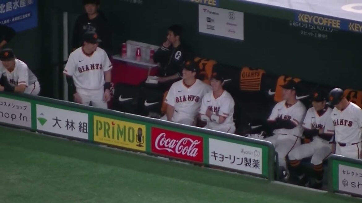 ベンチでめっちゃ楽しそうな小林誠司と重信慎之介（ 読売ジャイアンツ対 横浜DeNAベイスターズ2024年4月6日）
