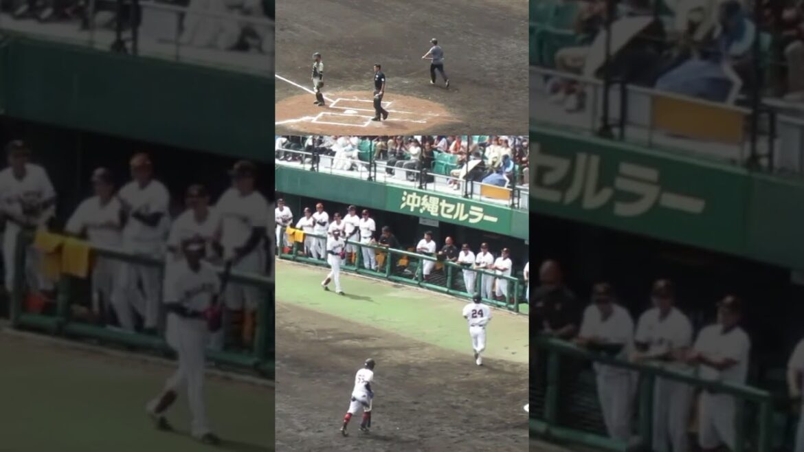 湯浅大タイムリーでホームイン大城卓三 喜ぶベンチの岡本和真など〜オープン戦 読売ジャイアンツ対 阪神タイガース2024年2月23日