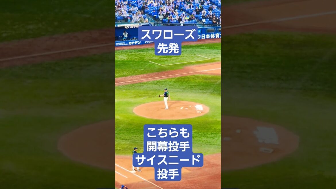 スワローズも開幕投手のサイスニード投手が先発！ #野球 #2024 #プロ野球