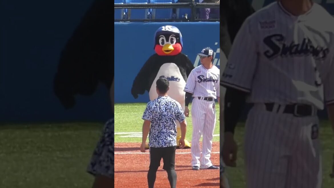 24/3/30 つば九郎の燃えドラ！ #Shorts