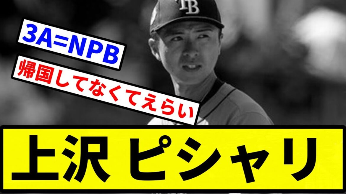【ピシャ沢】上沢 ピシャリ【プロ野球反応集】【2chスレ】【1分動画】【5chスレ】