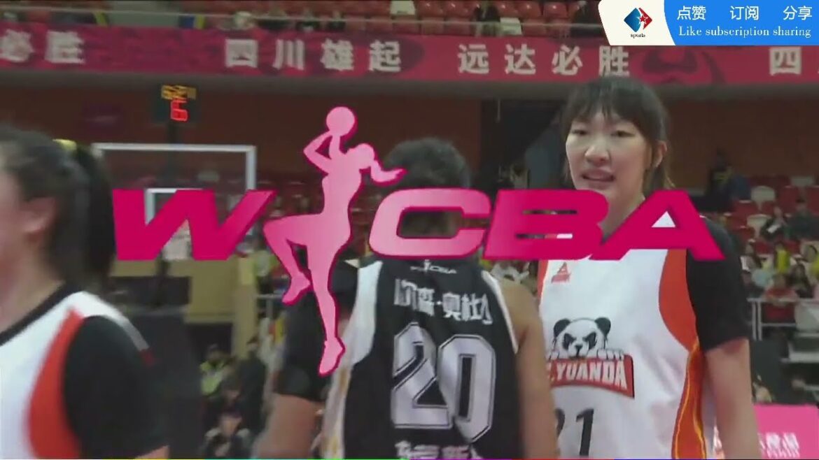 【WVBA直播】四川远达美乐VS东莞新彤盛，Sichuan Yuanda Melo VS Dongguan Xintongsheng，韩旭，李梦